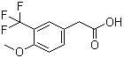 2-(4-Methoxy-3-(trifluoromethyl)phenyl)acetic acid Structure,1000566-45-9Structure