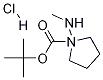 (S)-tert-butyl3-(methylamino)pyrrolidine-1-carboxylatehydrochloride Structure,1004538-30-0Structure