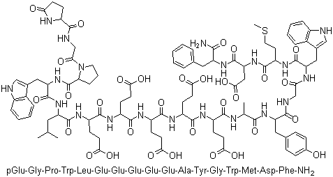 Gastrin i human Structure,10047-33-3Structure