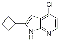 1H-pyrrolo[2,3-b]pyridine, 4-chloro-2-cyclobutyl- Structure,1014613-57-0Structure