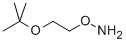 O-(2-tert-Butoxyethyl)hydroxylamine Structure,1023742-13-3Structure