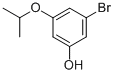 3-Bromo-5-isopropoxyphenol Structure,1026796-73-5Structure