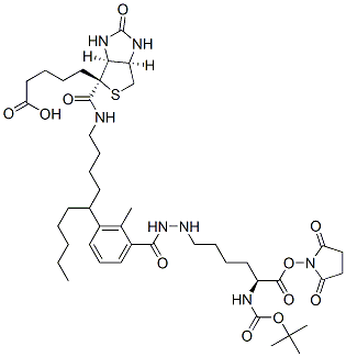 2,5-二氧代-1-吡咯烷基N<sup>2</sup>-{[(2-甲基-2-丙基)氧基]羰基}-N<sup>6</sup>-[6-({5-[(4S)-2-氧代六氫-1H-噻吩并[3,4-d]咪唑-4-基]戊酰}氨基)己酰]-L-賴氨酸酯結構式_102910-27-0結構式