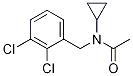 Acetamide, N-cyclopropyl-N-[(2,3-dichlorophenyl)methyl]- Structure,1041439-18-2Structure