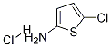 5-Chlorothiophen-2-amine hydrochloride Structure,1070886-43-9Structure