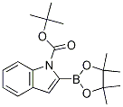 1-BOC-indole-2-boronic acid, pinacol ester Structure,1072944-96-7Structure