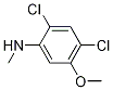 2,4-Dichloro-5-methoxy-n-methylaniline Structure,1072945-55-1Structure