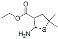 3-Thiophenecarboxylicacid,2-aminotetrahydro-5,5-dimethyl-,ethylester(9ci) Structure,107479-59-4Structure