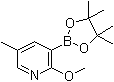 2-Methoxy-5-methyl-pyridine-3-boronic acid, picol ester Structure,1083168-84-6Structure