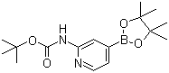 2-(Tert-butoxycarbonylamino)pyridine-4-boronic acid pinacol ester Structure,1095708-32-9Structure