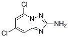 5,7-Dichloro-[1,2,4]triazolo[1,5-a]pyridin-2-amine Structure,1124383-04-5Structure