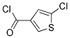 5-Chloro-3-thiophenecarbonyl chloride Structure,113471-08-2Structure