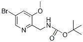 Tert-butyl (5-bromo-3-methoxypyridin-2-yl)-methylcarbamate Structure,1138443-96-5Structure