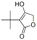 3-Tert-butyl-4-hydroxyfuran-2(5h)-one Structure,114908-93-9Structure