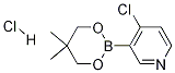 4-Chloro-3-(5,5-dimethyl-1,3,2-dioxaborinan-2-yl)pyridine, HCl Structure,1150271-27-4Structure