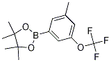 3-Methyl-5-(trifluoromethoxy)phenylboronic acid, pinacol ester Structure,1150561-56-0Structure