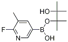 2-Fluoro-3-methylpyridine-5-boronic acid, pinacol ester Structure,1150561-71-9Structure