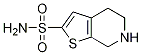 4,5,6,7-Tetrahydro-thieno[2,3-c]pyridine-2-sulfonamide Structure,115063-60-0Structure