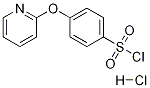 4-(2-Pyridinyloxy)benzenesulfonylchloridehydrochloride Structure,1170110-04-9Structure