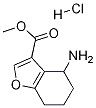 Methyl 4-amino-4,5,6,7-tetrahydrobenzofuran-3-carboxylate hydrochloride Structure,1172813-04-5Structure