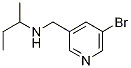 N-((5-bromopyridin-3-yl)methyl)butan-2-amine Structure,1183693-62-0Structure