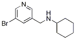 N-((5-bromopyridin-3-yl)methyl)cyclohexanamine Structure,1184409-99-1Structure