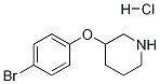 3-(4-Bromophenoxy)piperidine hcl Structure,1185025-37-9Structure