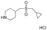 Piperidine, 4-[[(cyclopropylmethyl)sulfonyl]methyl]-, hydrochloride (1:1) Structure,1185295-04-8Structure