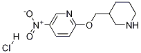 5-Nitro-2-(3-piperidinylmethoxy)pyridine hydrochloride Structure,1185307-86-1Structure