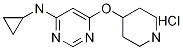 N-cyclopropyl-6-(piperidin-4-yloxy)pyrimidin-4-aminehydrochloride Structure,1185308-71-7Structure