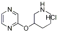 2-(Piperidin-3-yloxy)-pyrazine hydrochloride Structure,1185312-42-8Structure