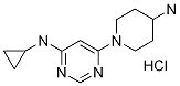 [6-(4-Amino-piperidin-1-yl)-pyrimidin-4-yl]-cyclopropyl-amine hydrochloride Structure,1185317-86-5Structure