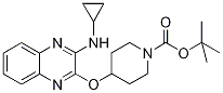 Tert-butyl4-((3-(cyclopropylamino)quinoxalin-2-yl)oxy)piperidine-1-carboxylate Structure,1185318-18-6Structure