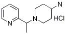 1-(1-Pyridin-2-yl-ethyl)-piperidin-4-ylamine hydrochloride Structure,1185320-11-9Structure