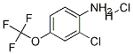 2-Chloro-4-(trifluoromethoxy)aniline hcl Structure,1187386-31-7Structure