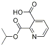 2,3-Pyridinedicarboxylic acid, 2-(1-methylethyl) ester Structure,118892-73-2Structure