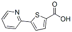 5-(2-Pyridyl)thiophene-2-carboxylic acid Structure,119082-97-2Structure