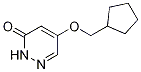 5-(Cyclopentylmethoxy)pyridazin-3(2h)-one Structure,1191454-44-0Structure