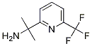 2-(6-(Trifluoromethyl)pyridin-2-yl)propan-2-amine Structure,1192356-25-4Structure