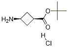 Cis-tert-butyl 3-aminocyclobutanecarboxylate hydrochloride Structure,1192549-09-9Structure