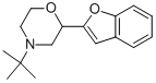 2-(2-Benzofuranyl)-4-tert-butyl-morpholine Structure,119491-61-1Structure