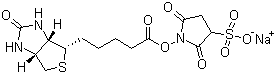 磺基琥珀生物素結(jié)構(gòu)式_119616-38-5結(jié)構(gòu)式