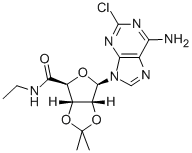 2-Chloro-2,3-o-isopropylideneadenosine-5-n-ethylcarboxamide Structure,120225-75-4Structure