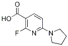 2-Fluoro-6-(pyrrolidin-1-yl)nicotinic acid Structure,1203499-55-1Structure