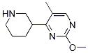 2-Methoxy-5-methyl-4-(piperidin-3-yl)pyrimidine Structure,1207174-94-4Structure