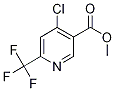 Methyl 4-chloro-6-(trifluoromethyl)nicotinate Structure,1211539-36-4Structure