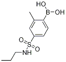 2-Methyl-4-(n-propylsulfamoyl)phenylboronic acid Structure,1217501-47-7Structure