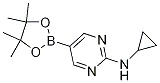 2-Cyclopropylaminopyrimidine-5-boronic acid pinacol ester Structure,1218789-33-3Structure