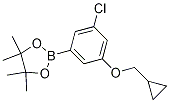 3-Chloro-5-cyclopropylmethoxyphenylboronic acid pinacol ester Structure,1218789-44-6Structure