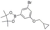 3-Bromo-5-(cyclopropylmethoxy)phenylboronic acid pinacol ester Structure,1218789-49-1Structure